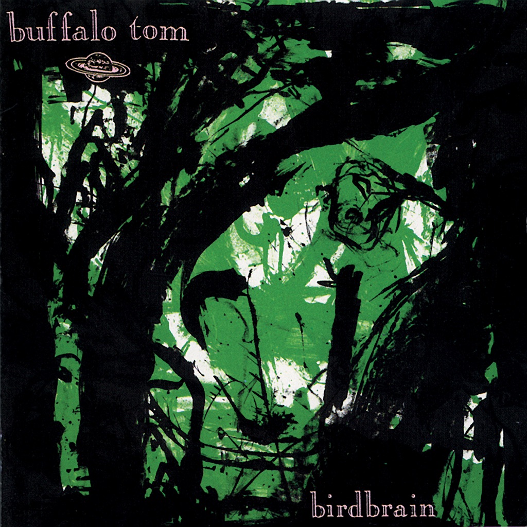 buffalo-tom