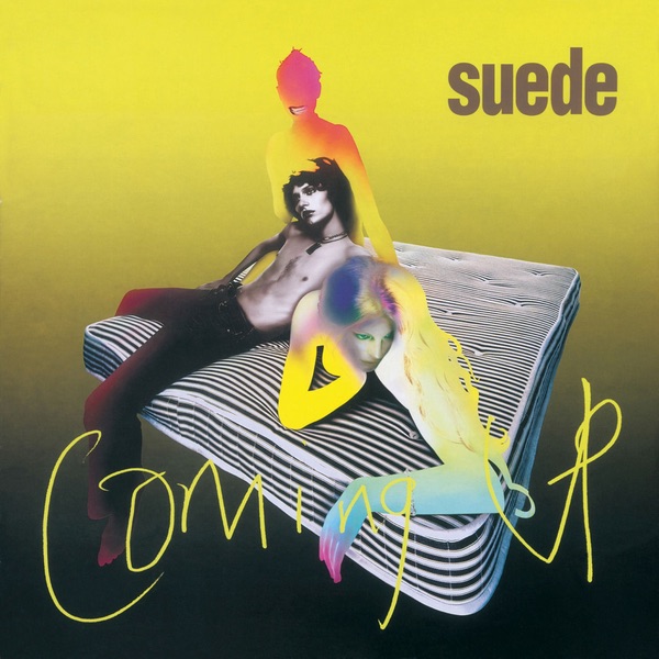 suede