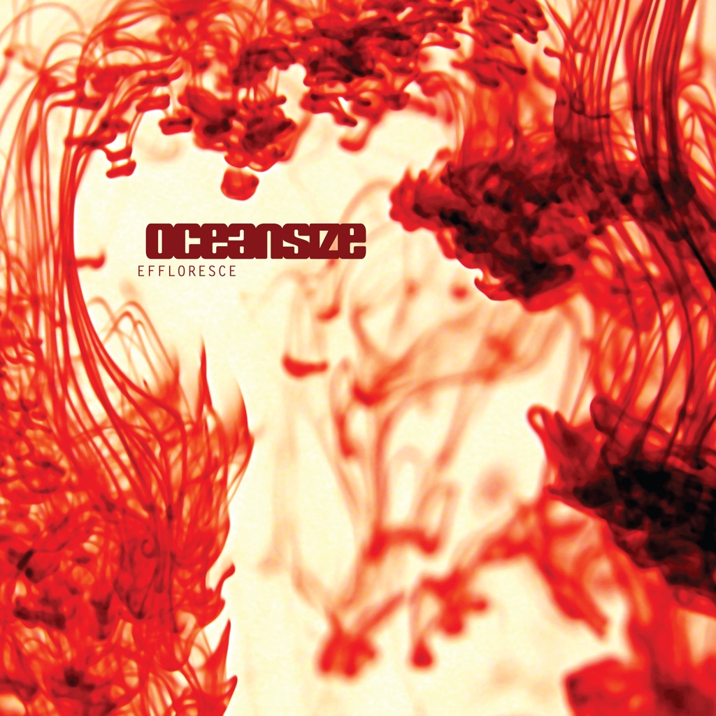 oceansize