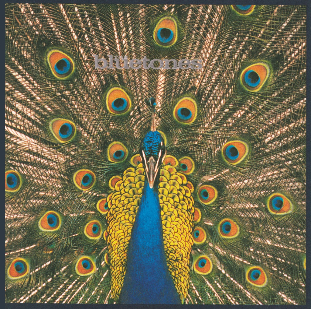 the-bluetones