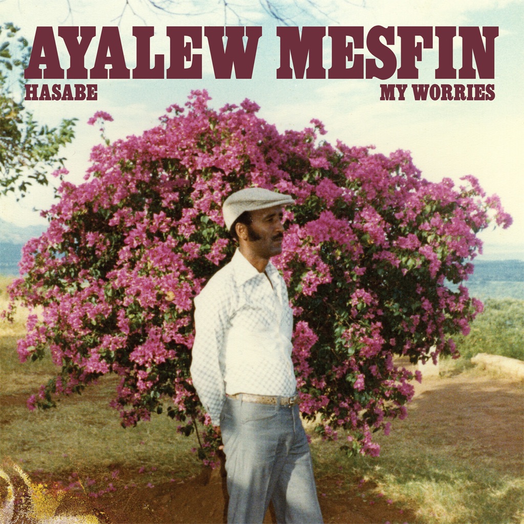 ayalew-mesfin