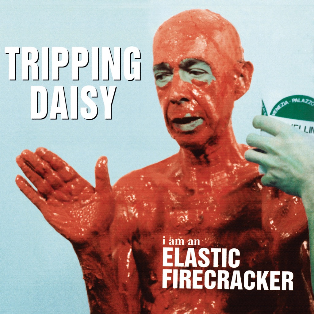 tripping-daisy