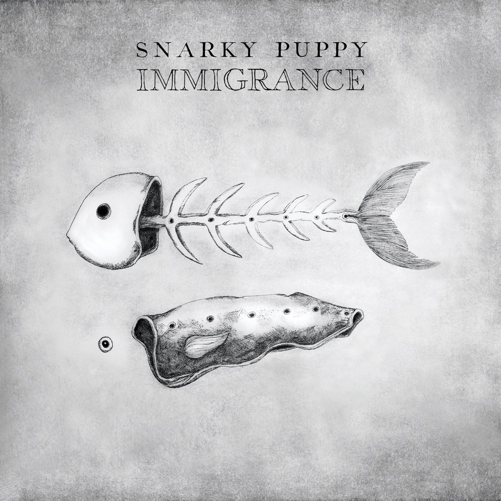 snarky-puppy