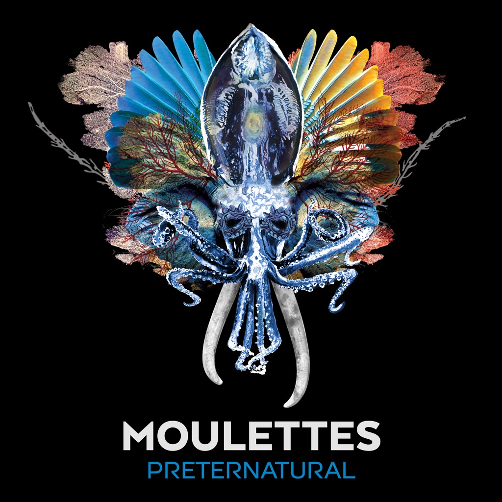 moulettes