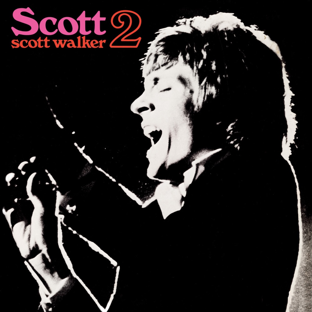  Scott 2