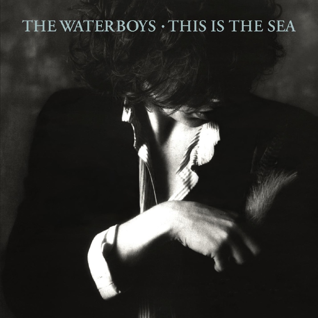 the-waterboys