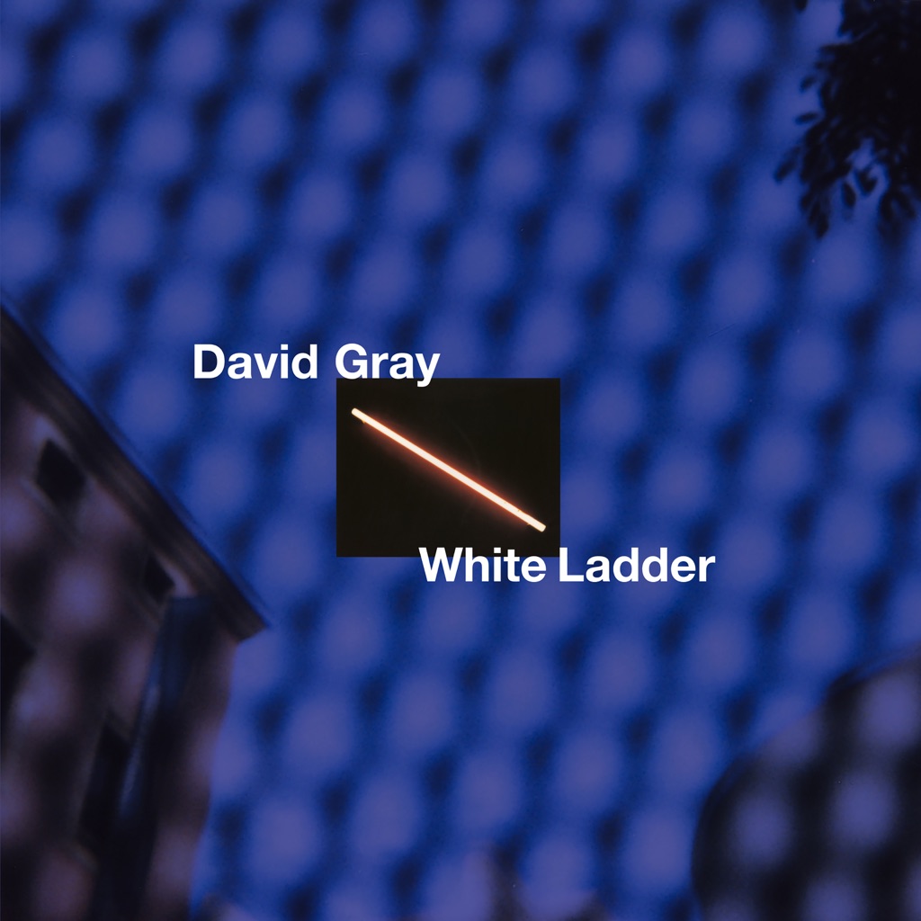  White Ladder