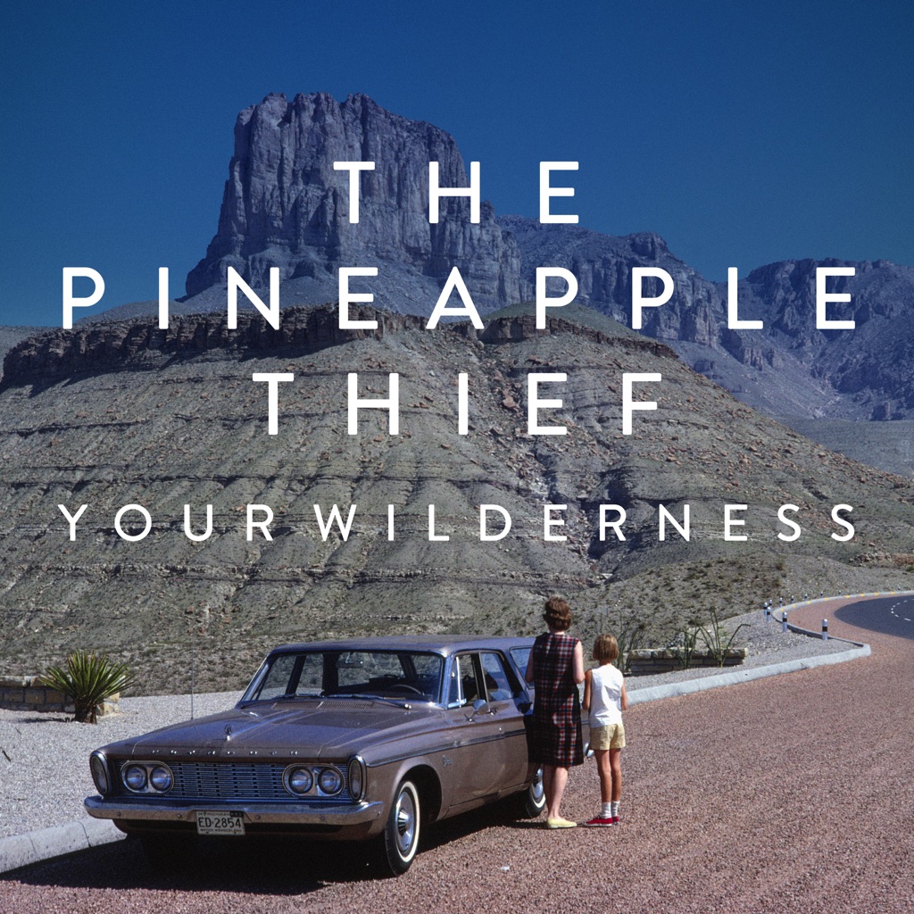 the-pineapple-thief