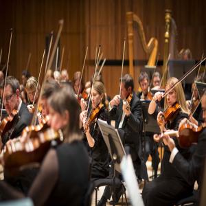 The Royal Philharmonic Orchestra